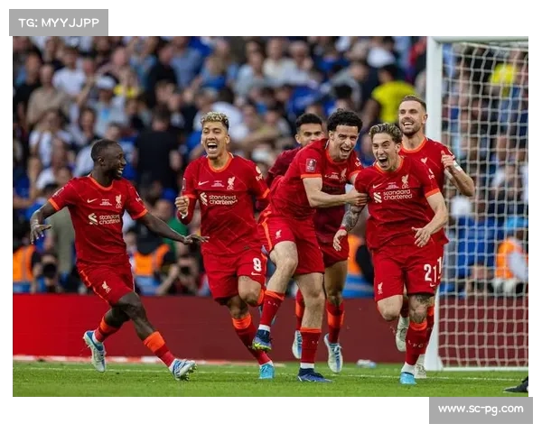 本文将探讨利物浦和富勒姆之间的比赛费用问题，并对相关情况作出详细解释。首先，我们需要了解足球比赛的费用结构